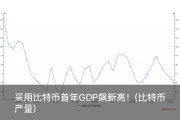 采用比特币首年GDP飙新高！(比特币产量)
